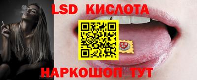 spice Новодвинск