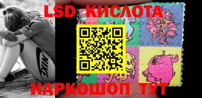 ешки Новокубанск