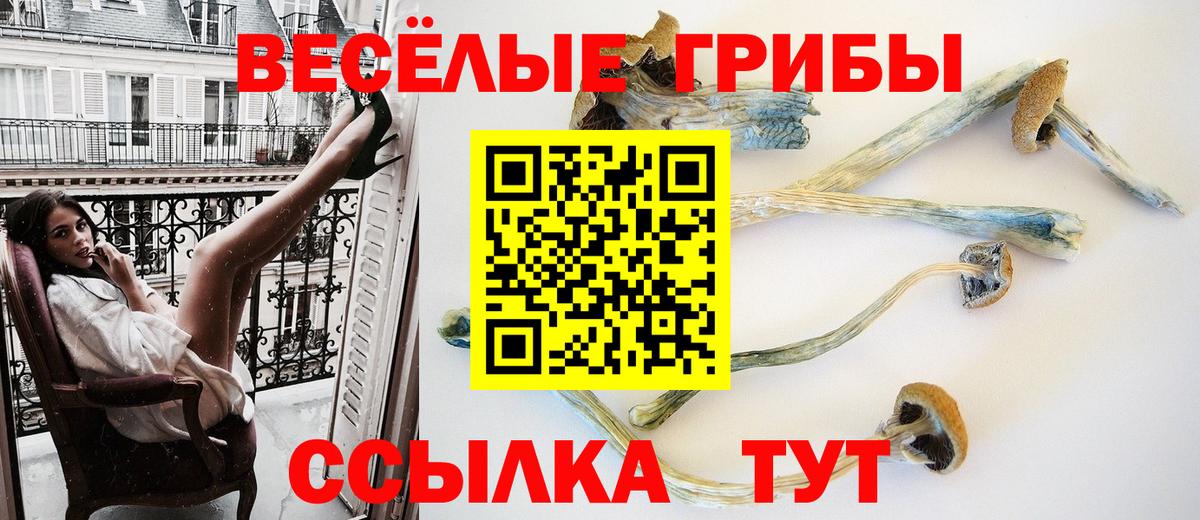 Галлюциногенные грибы Cubensis Ступино